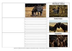 Flip-Flap-Zebra-2.pdf